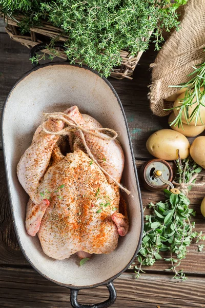 Vértes gyógynövények rakott étel fűszeres csirkemell — Stock Fotó