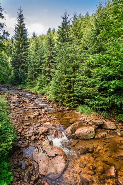 Beautiful mountain stream on a sunny summer day — Stock Photo, Image