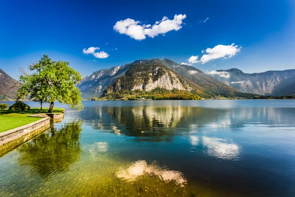 Lac dans les Alpes, Hallstatt — Photo