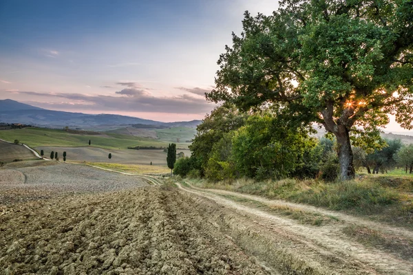 Tramonto sulla terra toscana — Foto Stock