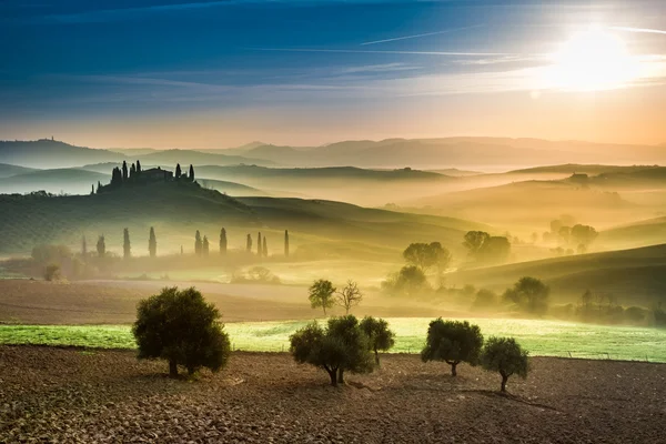 Champs aurifères et verts dans la vallée au coucher du soleil, Toscane — Photo