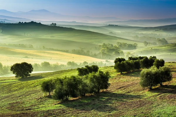 Fog in the valley at sunrise, Tuscany — Stock Photo, Image