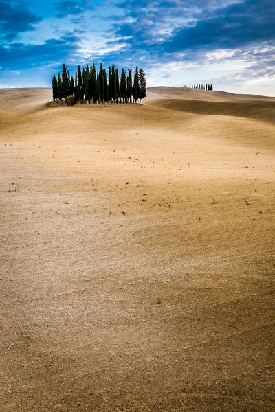 Brunt og blått landskap om høsten i Toscana – stockfoto