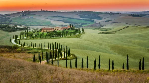 Zonsondergang en kronkelende weg met cipressen in Toscane — Stockfoto