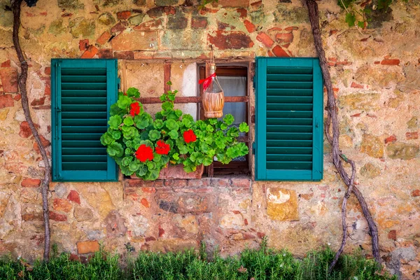 Bella finestra decorata con fiori in italia — Foto Stock