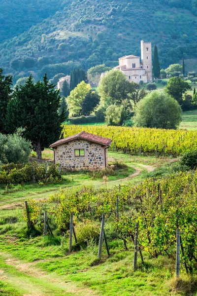 Strada di campagna che conduce attraverso i vigneti al monastero — Foto Stock