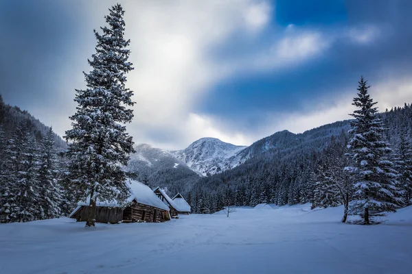 Snow capped wooden cottage in winter mountain valley — Stock Photo, Image