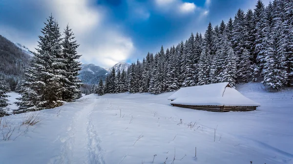 Snowy trail at the mountain peak — Stock Photo, Image