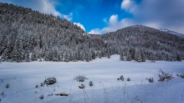 Valle de la montaña en invierno al atardecer — Foto de Stock