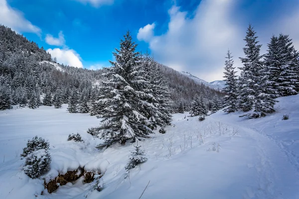 Snow path in the mountain valley — Stock Photo, Image