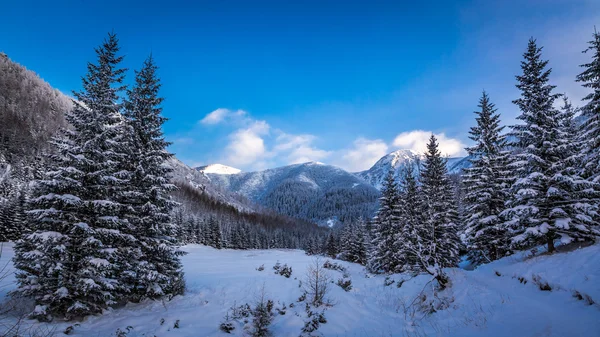 Vista de la montaña en invierno al atardecer — Foto de Stock