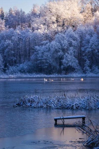 Východ slunce nad jezerem v zimě — Stock fotografie