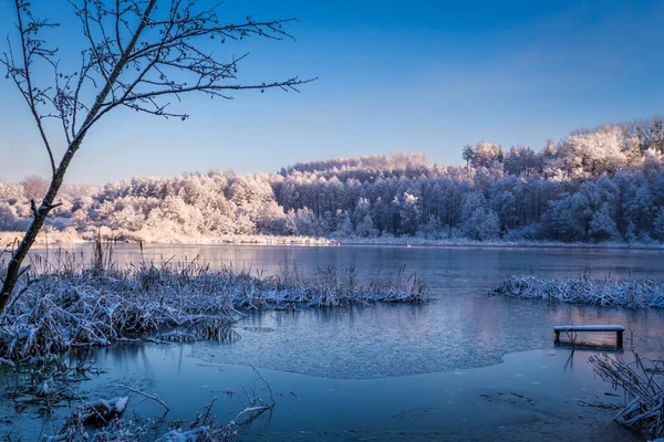 Zimą jezioro o wschodzie słońca — Zdjęcie stockowe