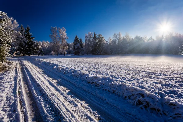 Winterweg in het bos — Stockfoto