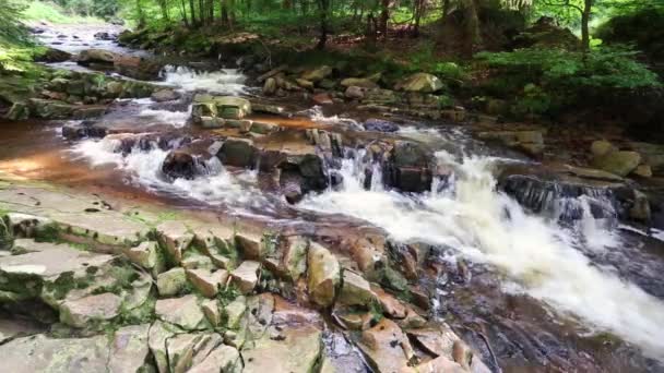 Arroyo de montaña lleno de piedras — Vídeo de stock