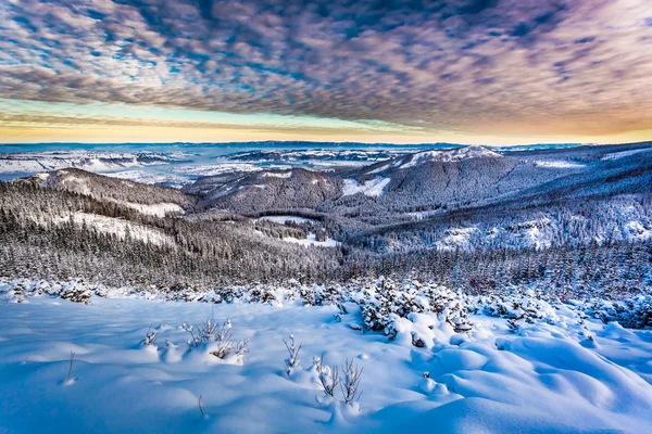 Vista de la montaña de invierno desde la cresta — Foto de Stock