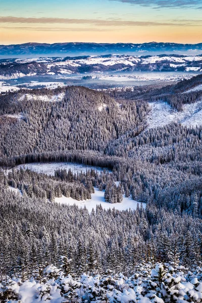 Зимовий вид на гірську долину — стокове фото