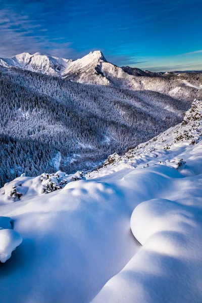 Picos de montaña nevados al amanecer en invierno — Foto de Stock