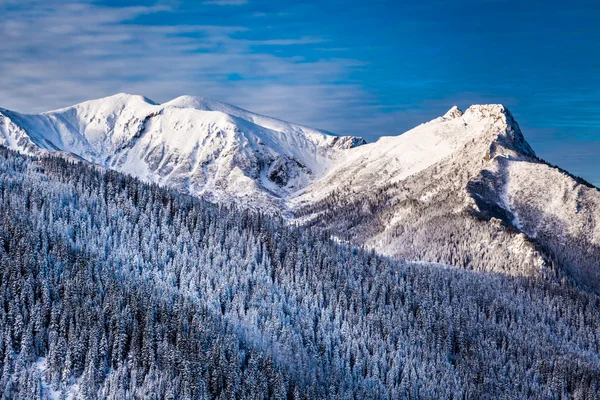 Pico de montaña al amanecer en invierno — Foto de Stock