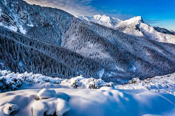 Pico de montaña al amanecer en invierno — Foto de Stock