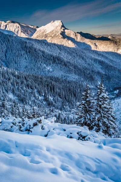 Picos de montaña en el amanecer de invierno — Foto de Stock