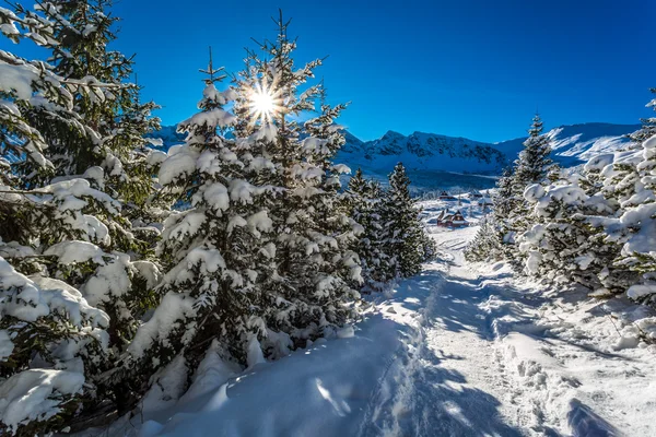 Sendero de montaña soleado en invierno — Foto de Stock