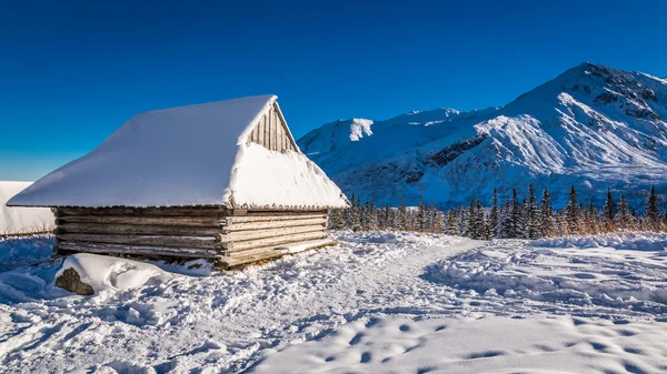Дерев'яний котедж, вкритий снігом в горах — стокове фото