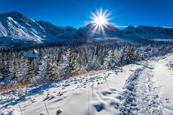 Mountain cottage in winter mountains — Stock Photo, Image