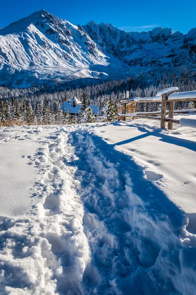 Snowy path to the winter shelter in the mountains