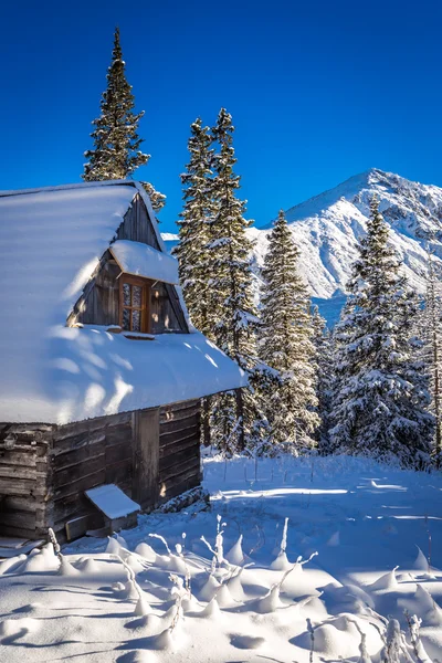 Snowy górskiej chatki w górach — Zdjęcie stockowe