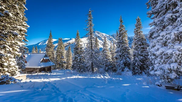 Старий дерев'яний котедж в зимових горах — стокове фото