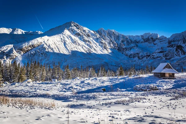 Liten fjällstuga i de höga bergen på vintern — Stockfoto