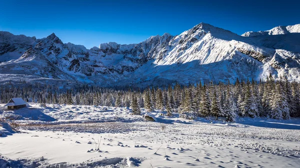 Sunny day in winter mountains — Stock Photo, Image