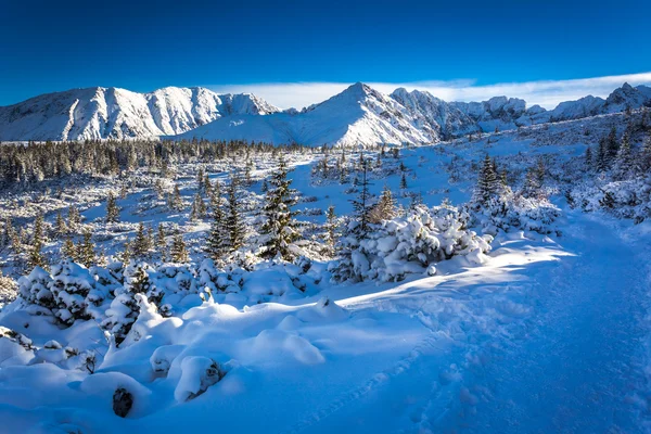 Sendero de invierno en la cima de la montaña — Foto de Stock