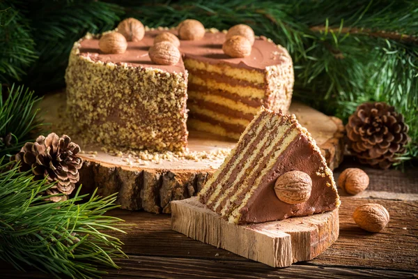 Choklad kaka serveras i skogen — Stockfoto