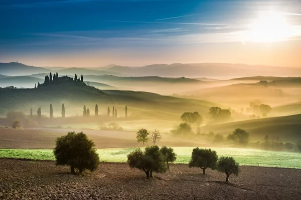 Guld och gröna fält i dalen vid solnedgången, Toscana — Stockfoto