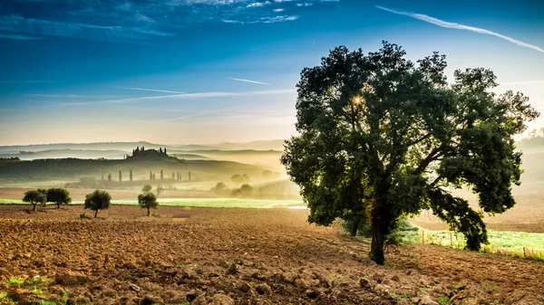 Foggy Valley al mattino, Toscana — Foto Stock