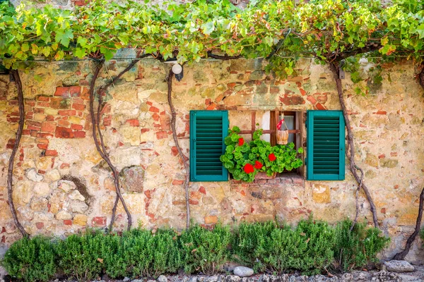 Belle fenêtre décorée de fleurs en italie — Photo