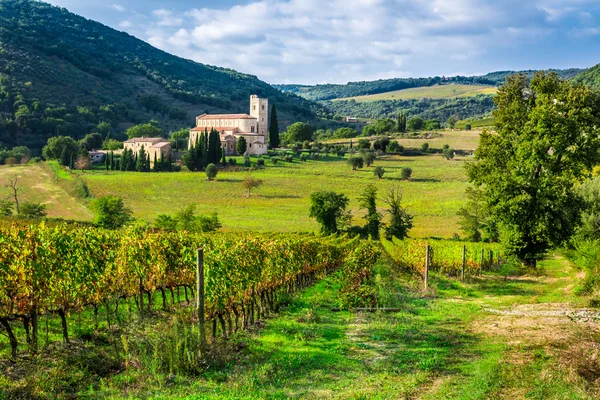 Wijngaarden en het klooster in Toscane — Stockfoto