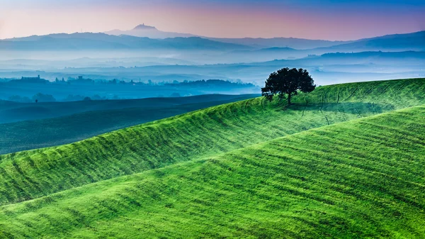 Sunrise «Країна мрій» в Тоскані Ліцензійні Стокові Фото