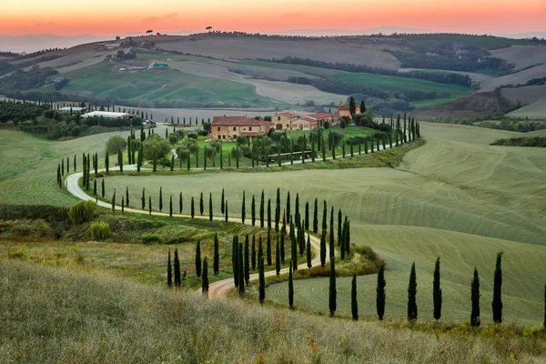 Solnedgång och slingrande väg med cypresser i Toscana Stockbild