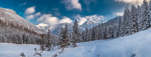 Big panorama of snowy valley in tatra mountains — Stock Photo, Image