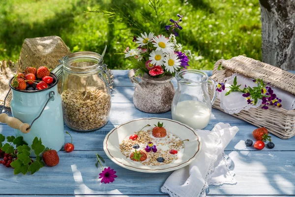 Farina d'avena con frutta e latte — Foto Stock