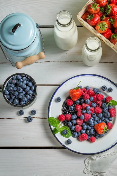 Fresh berry fruits with cream — Stock Photo, Image