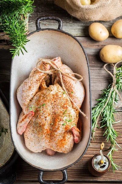 Pollo speziato con erbe aromatiche in casseruola — Foto Stock