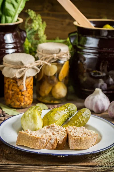 Spíž plnou chuť na zimu — Stock fotografie