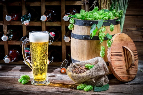 Helles Bier aus frischem Hopfen — Stockfoto