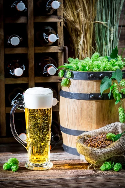 Helles Bier aus frischem Hopfen — Stockfoto