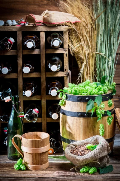 Bière gastronomique Cave pleine de bouteilles — Photo