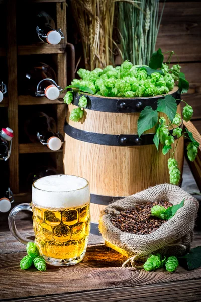 Birra fresca fatta in casa — Foto Stock